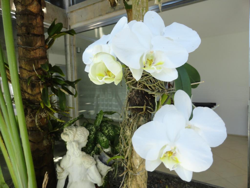 Pousada Orquideas Guarujá Exterior photo